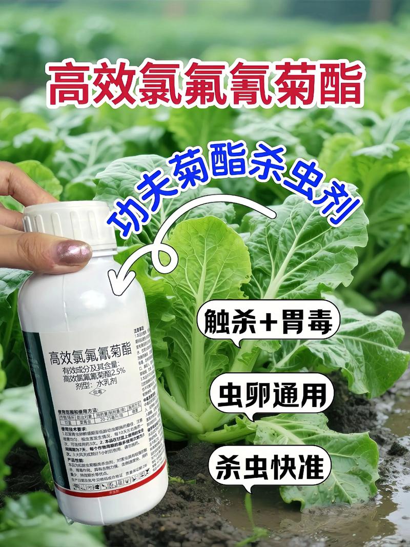 东方代生中心:农药对供卵代生妈妈的危害